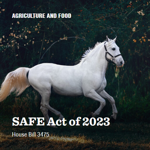 H.R.3475 118 SAFE Act of 2023 (2)